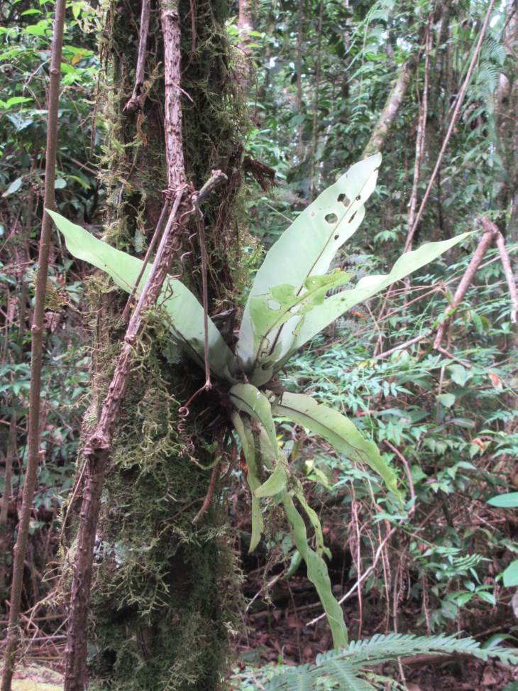 7F5BD2E3-6B58-47BE-952B-E5A0F9C19C6C