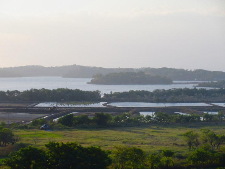 84449BD4-4B30-4F07-B427-42F5ED1A7910