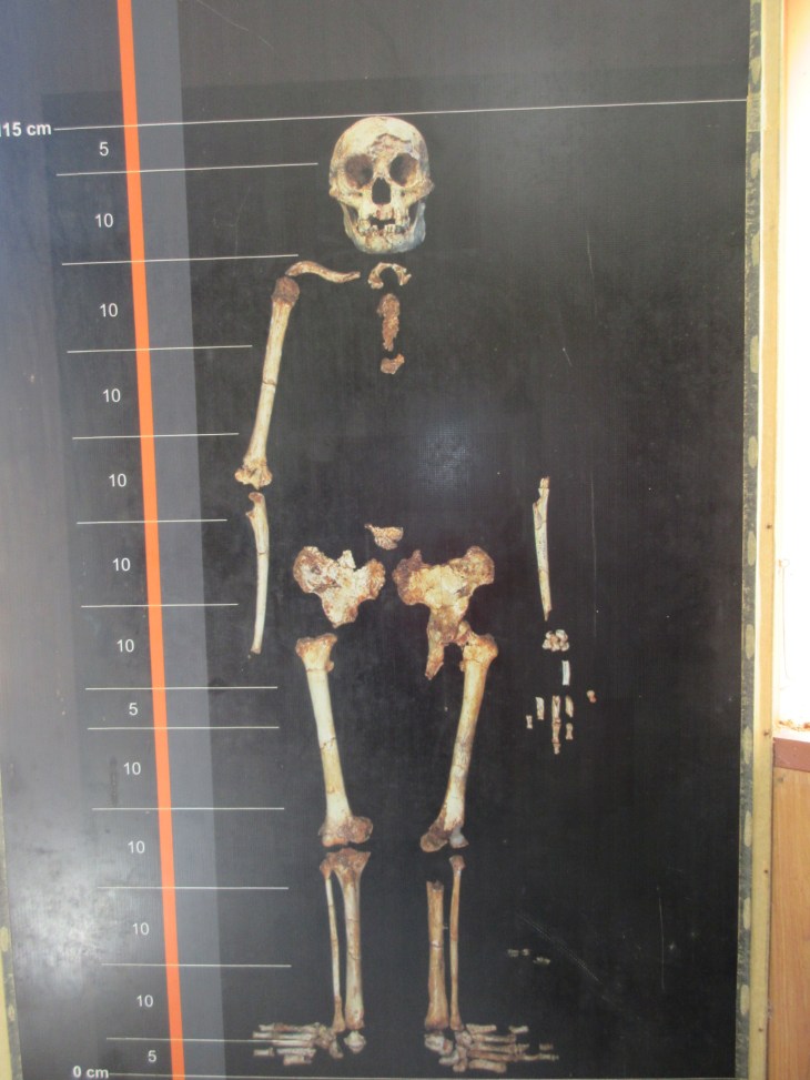 8A3F22DC-0CEF-4B64-B2EB-CD8267D0CAF9