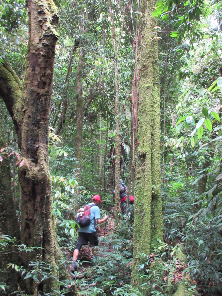 8C8C9D77-1B9E-4A87-AB17-AD0230A1009C