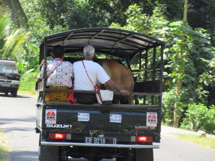 9696FC62-653E-4799-84C7-FFEB92F830BF