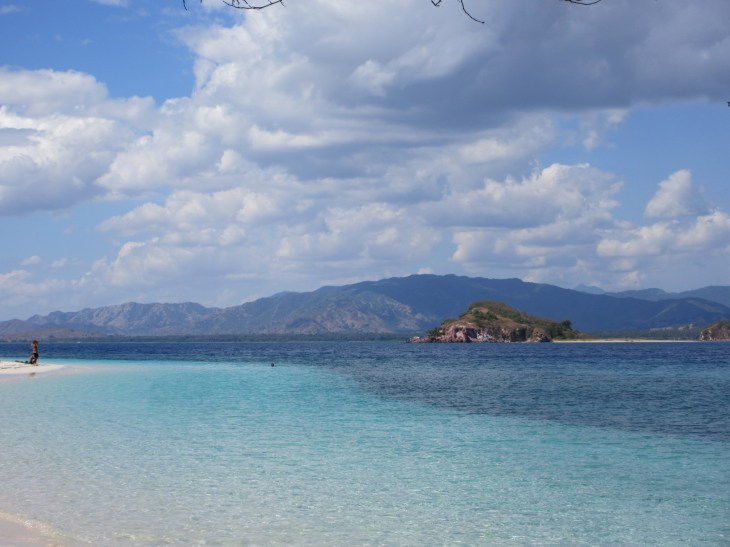 9D02399A-C095-411E-ADEE-E0620E236DFC