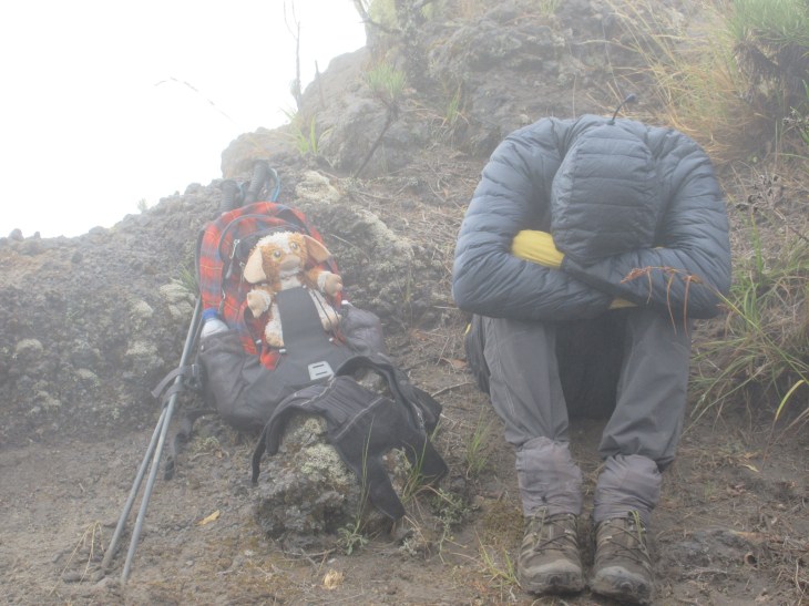 A095252D-0F39-48BF-9B39-D60432E6299B