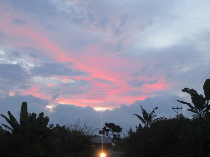 A53BE729-1E31-4EAC-A92C-C7209908E92A