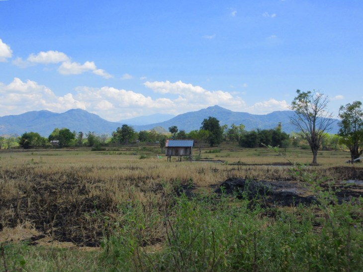 A8AD3DED-74C8-4F44-9C8C-AC6BB5EC3068