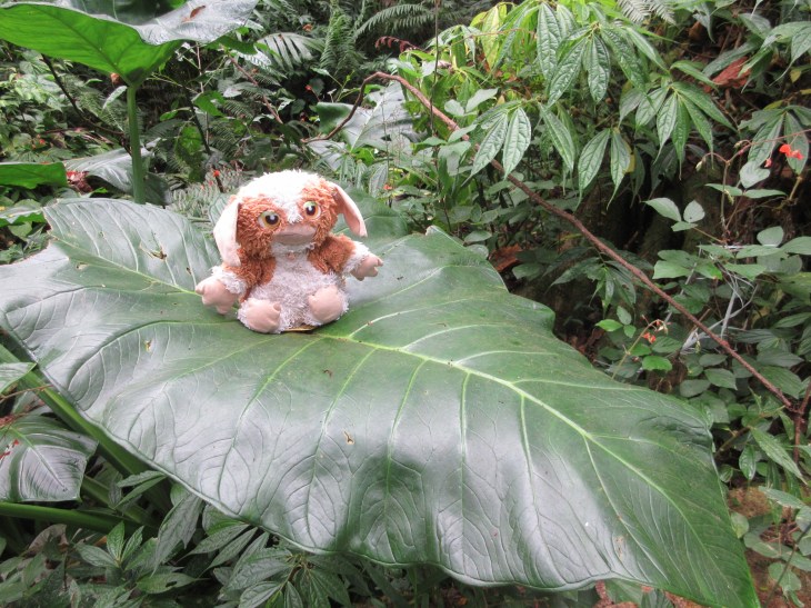 AAC9A774-5A26-45C0-B23D-53AD7F3A2E7F