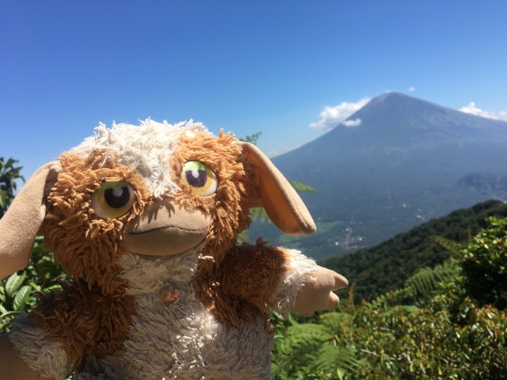 B1274426-F858-43D9-B3D1-FAC636594A8A