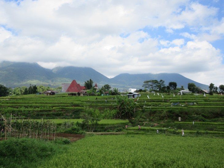 B4A08195-DE4F-4A11-9A96-8F4A453B92E4