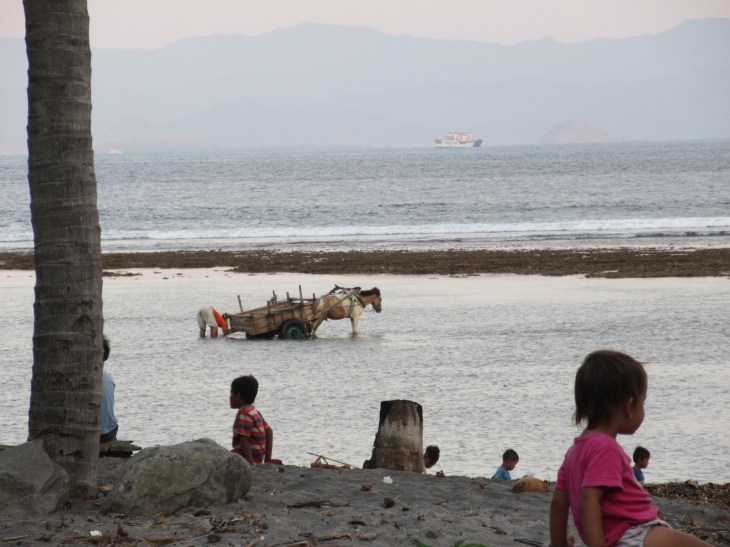 B8E31FA8-D1BE-4EA8-A2A5-2DBA509ED9C3