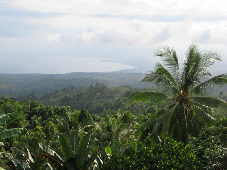 CBC2FEDC-4B00-4620-983B-732B8D647D39