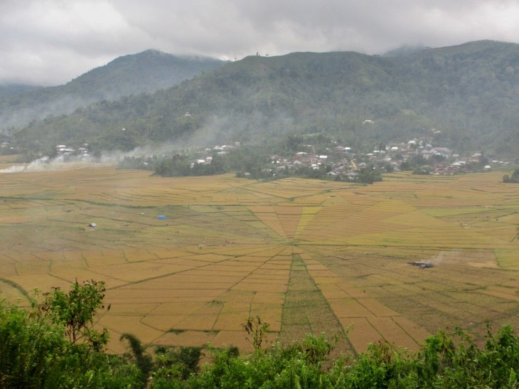 CF0B7146-D8FB-445C-AFF2-CF3B581A3141