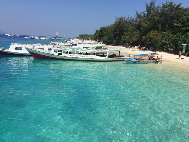 DCCF888D-1554-4837-827C-FA298743A0F4