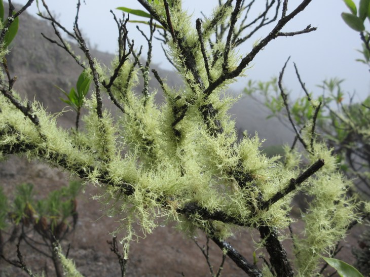 DCE88E38-75CD-4F9B-AE0D-0F67700C1F0D