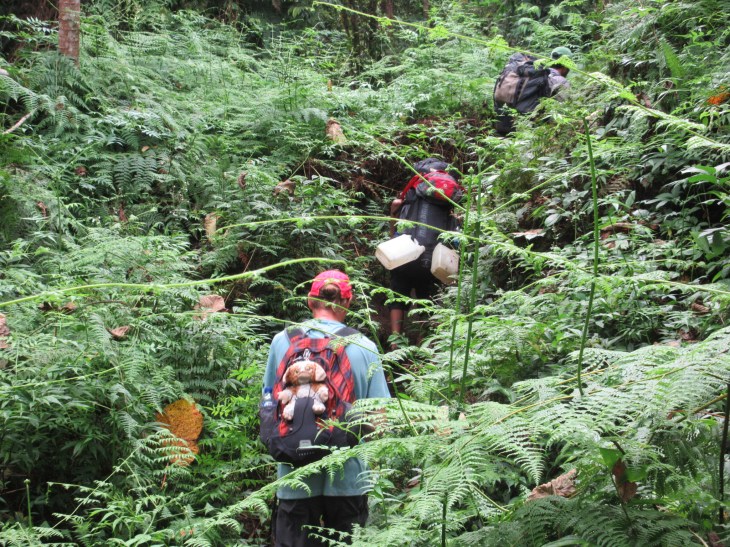 E6FC5F95-4A35-4E81-9F8D-CC45CC627F43