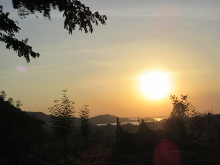 E870C670-53B0-4DB9-A0FE-472FC903C874