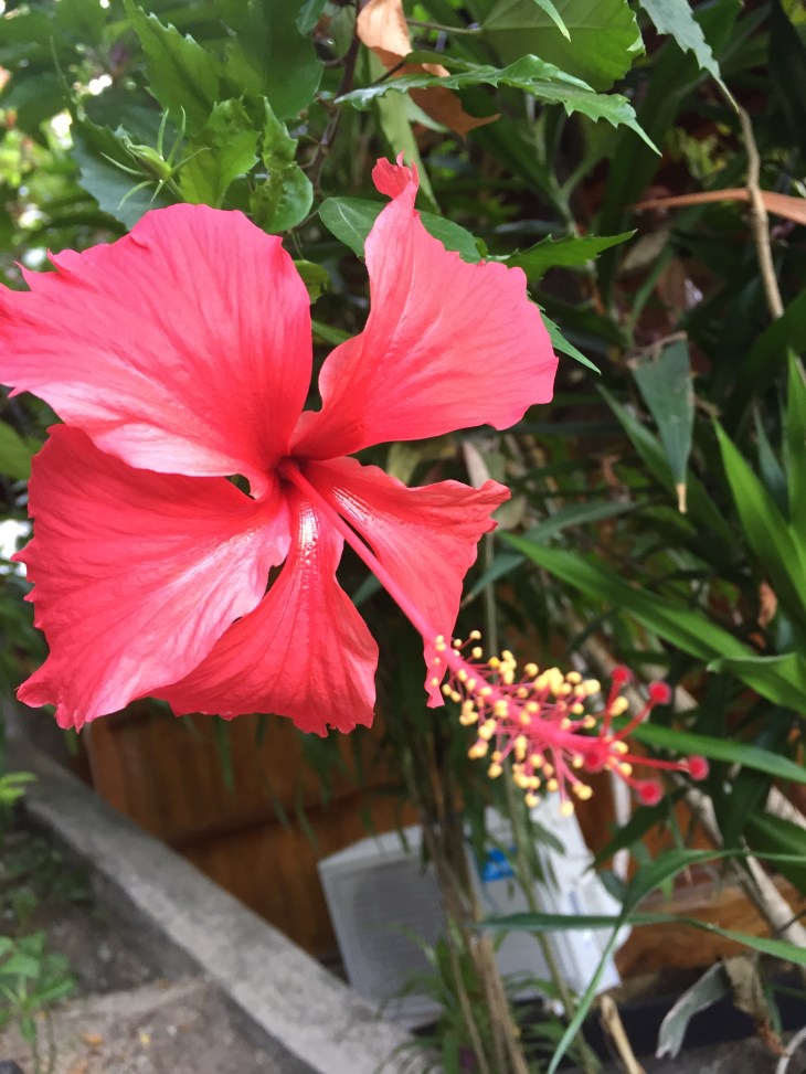 9AEAF04A-2A70-4755-9397-52AECE6F3348