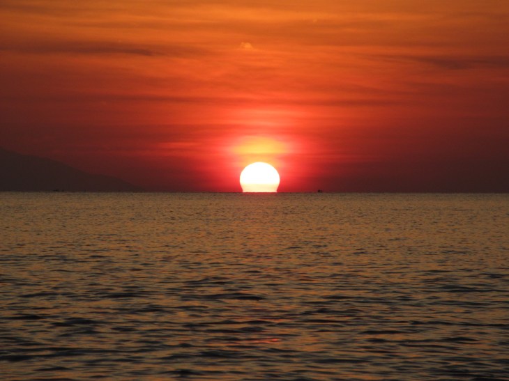 C1DD4415-D709-4C81-9BDB-C56786F7185A