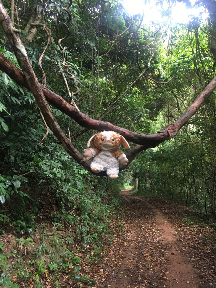 035EFCF4-0FA6-4DCF-AC78-4CF6FFD1DEFB