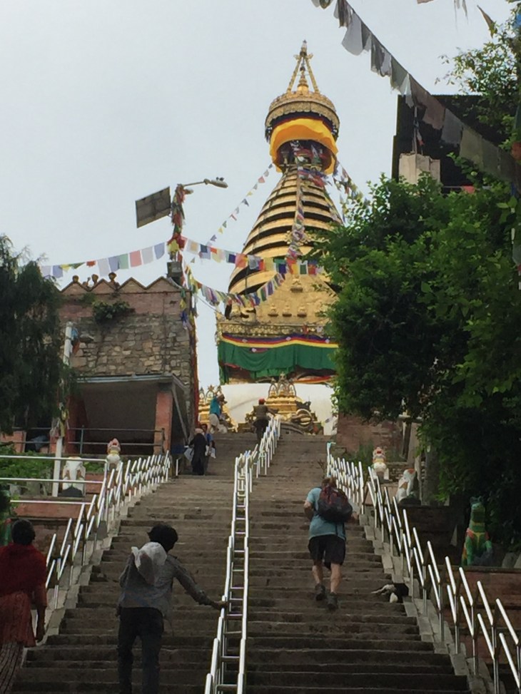 0D868B53-FCD5-4608-9CFA-E010D96C598A