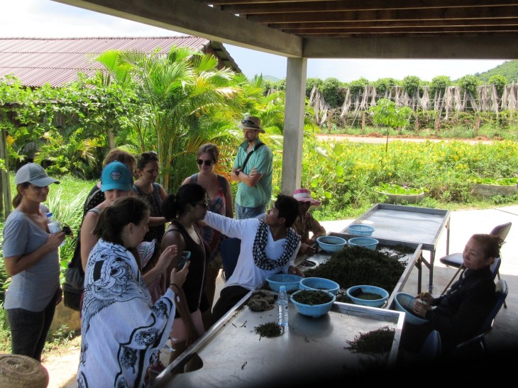 39EA5CFB-45DD-4156-B321-43BC3BD128B8