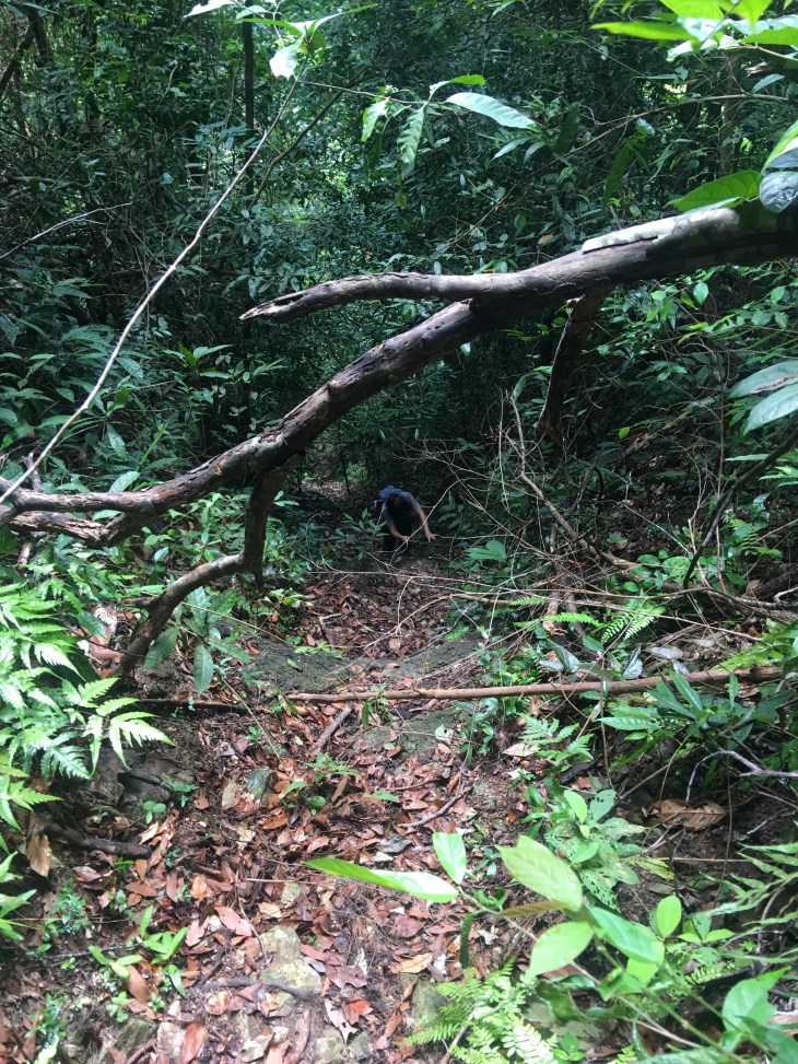 3A93FB82-E2D9-442D-A602-10124977383E