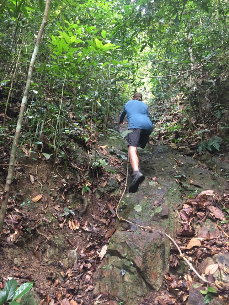 45B4DAD3-2A67-45DD-A1D1-A88A7AE3A2B7