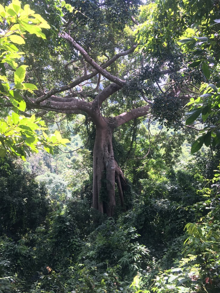 4BBD203D-0D58-494C-9944-033D490AA0BC