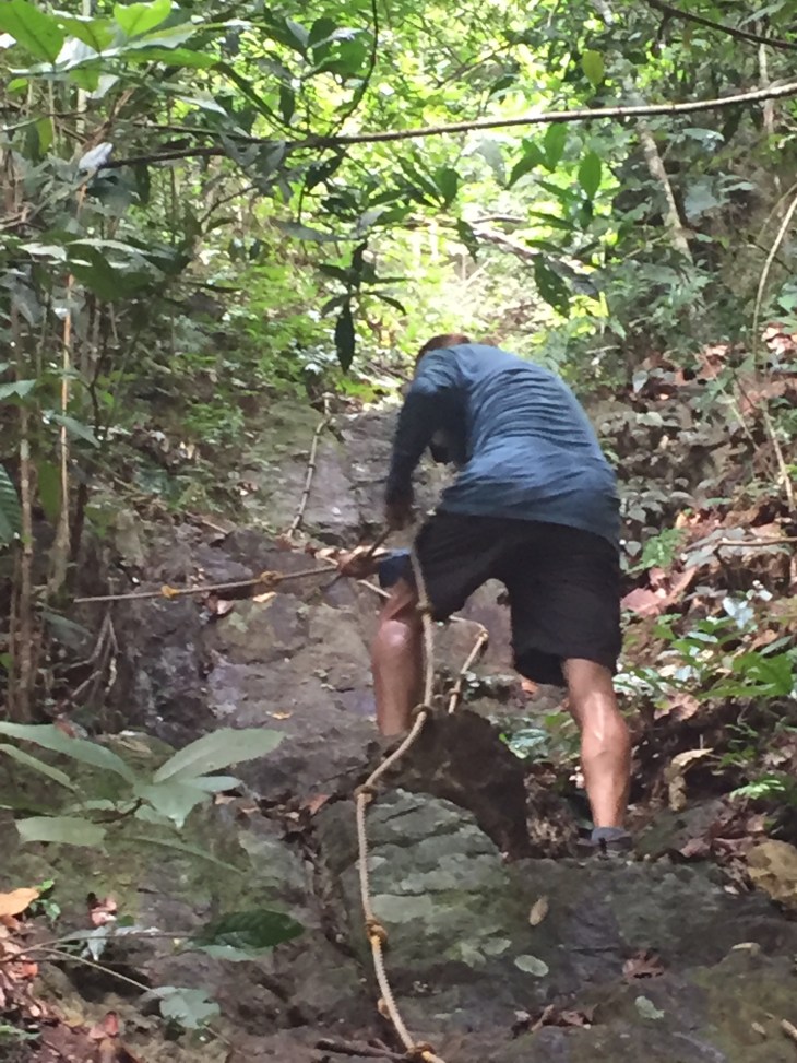 7DA558AE-7317-4900-971C-B08A7BFCEFD3