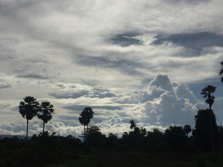 911505FD-2BD4-44A7-9E8D-51748F1D1C6A