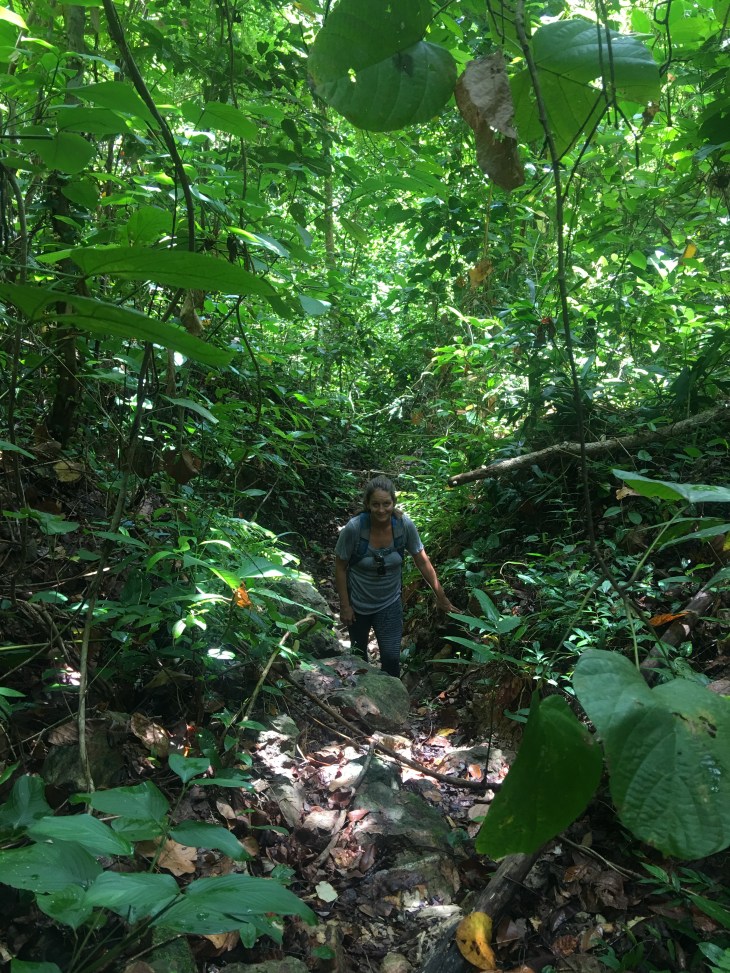 B98C56C8-80D4-49BC-A2CF-E797EB9CDE56