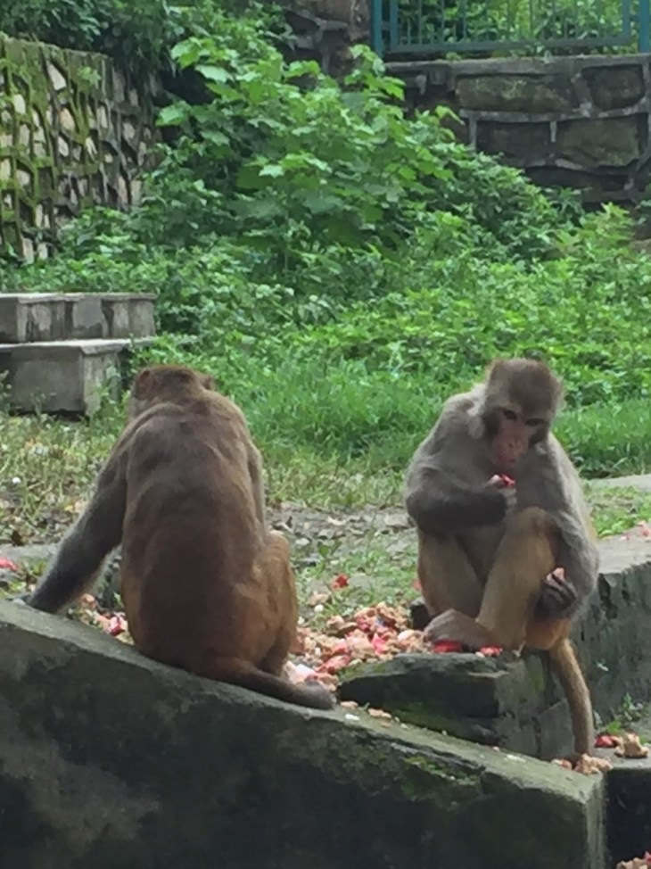 CE71A5FB-77D6-4068-9F7B-A2FF17846196