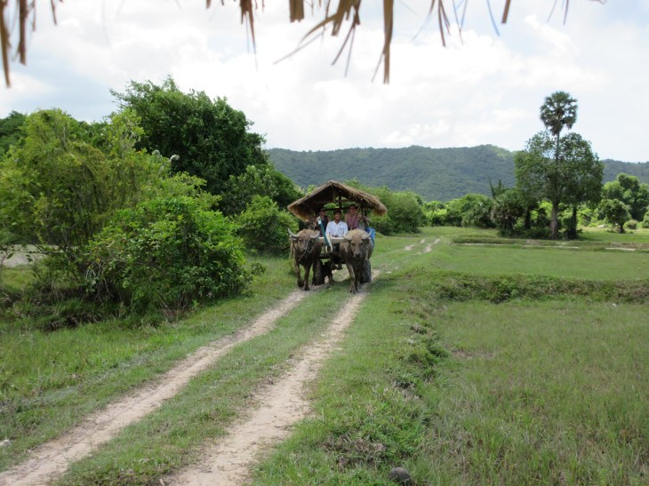 D058F997-A3B2-46C1-BEFD-BF5F52736D9A