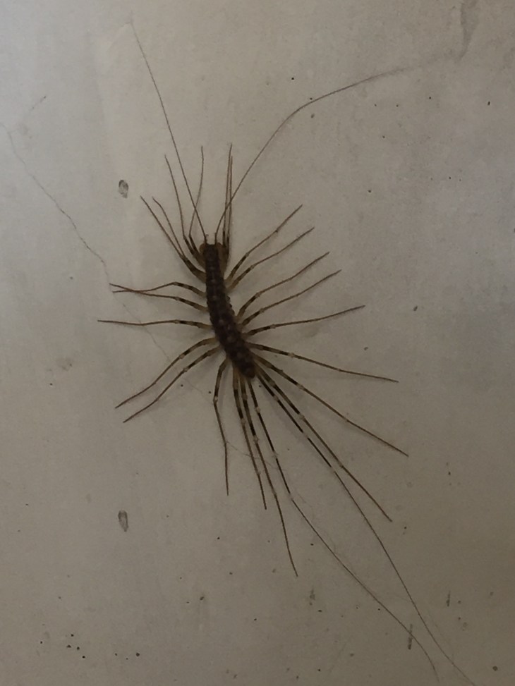 E04B013B-6473-40B3-9DA9-76ACDA6DD789