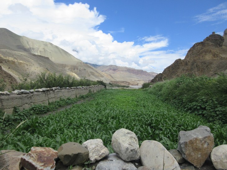 07FE01EA-5964-47F9-B7A3-CC057A21BD81