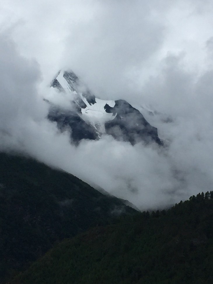 118CDDB0-D529-4256-A2AB-6440E505691C