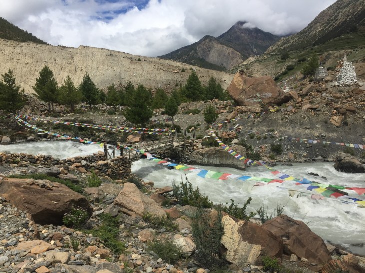 183B8C9A-85B0-4208-ADE2-A54B2FC186F0