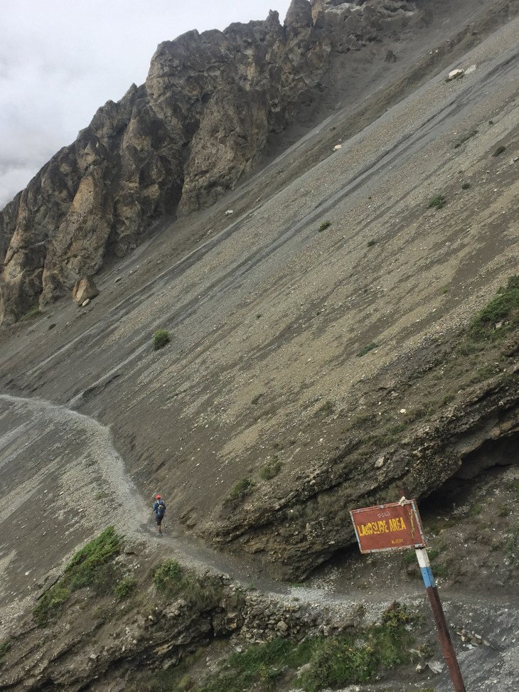 313A06F9-EB79-44FB-AFD1-1828C134E257