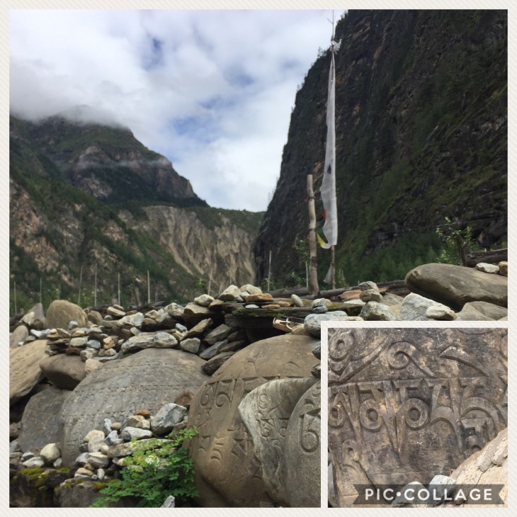 343DB8A3-DB4B-403B-9530-6B17BE148270