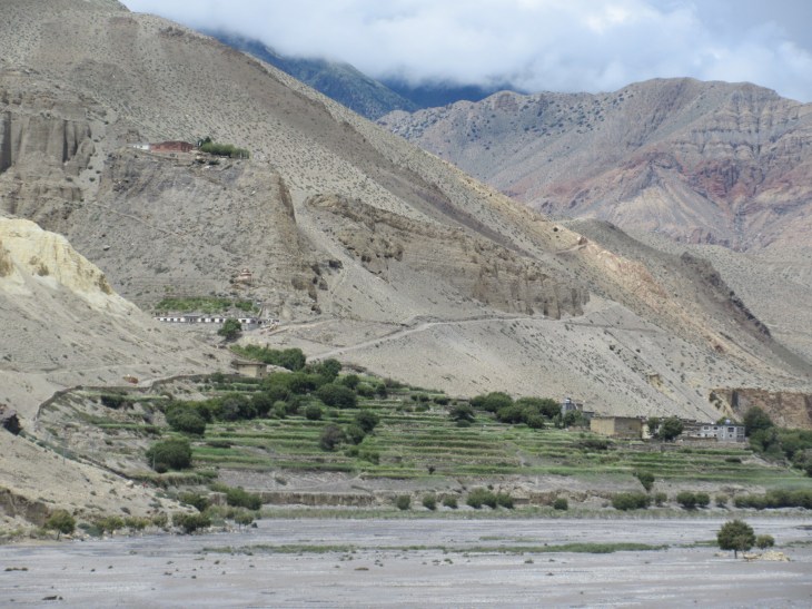 392A62F6-23B4-4A49-BED9-A75BC5434981