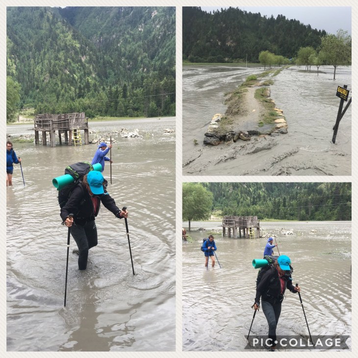 3E16A322-B460-447C-BE23-83D330941CA3