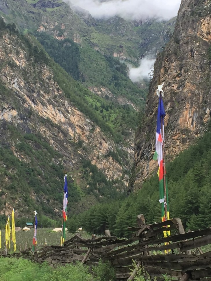 41B19383-5274-422C-A553-135E53A1BEBF