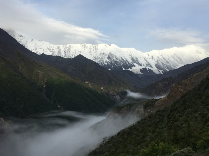 4C0F40F4-A680-4C06-BF86-3050437848AA