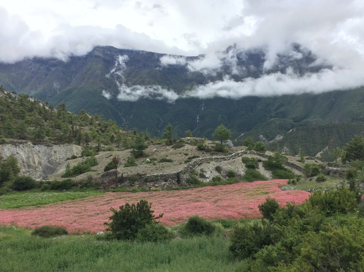 70AA4724-D6F0-4BB1-9EFA-C96077DED853