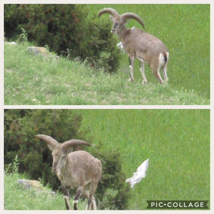 7AFD521E-E1C6-45B4-96E1-B764058606C8