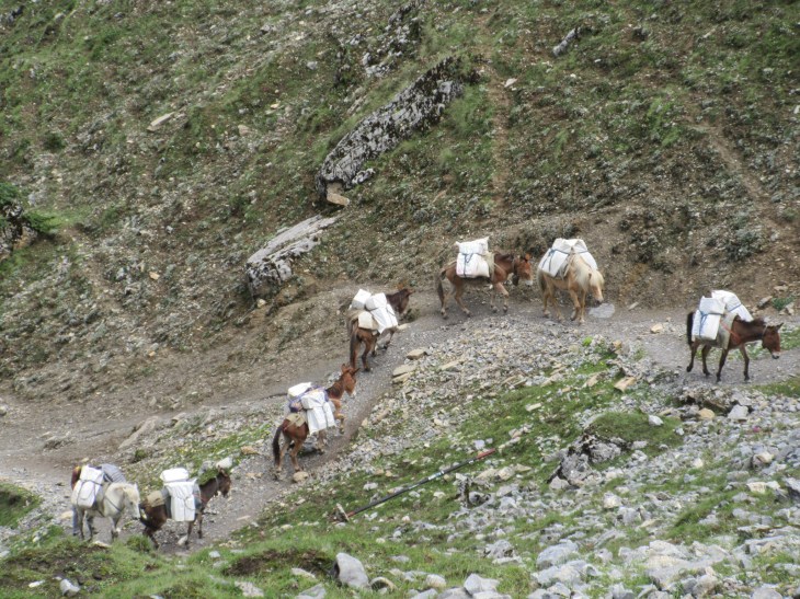 83E360A4-B636-4DBF-9447-B7331721FB4F