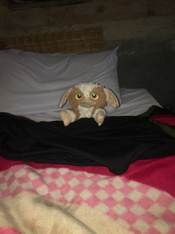 83E5B137-BBA1-45E3-92DE-446C20AB42A5