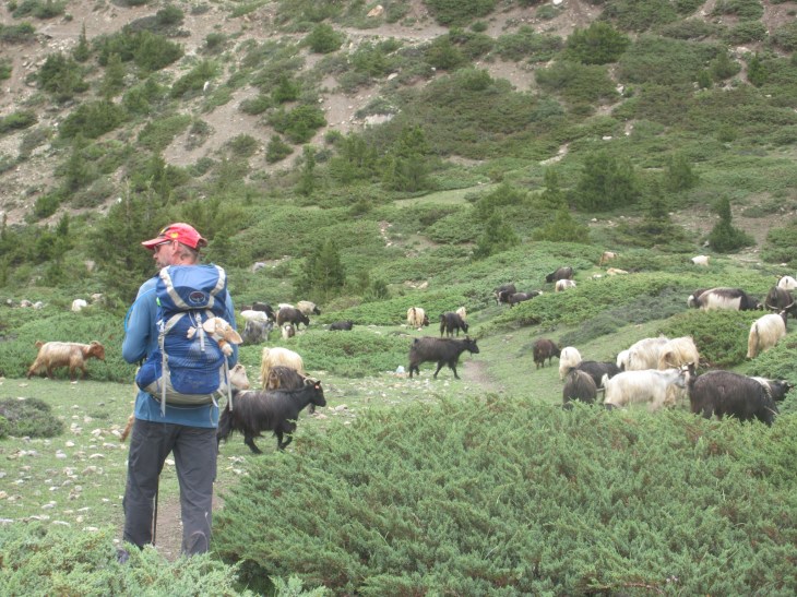 8EAE0132-A0CC-4E1B-864B-6E16D276707A