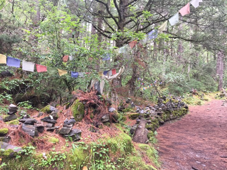 B46A0400-79BC-491A-BDBD-1238647B1271