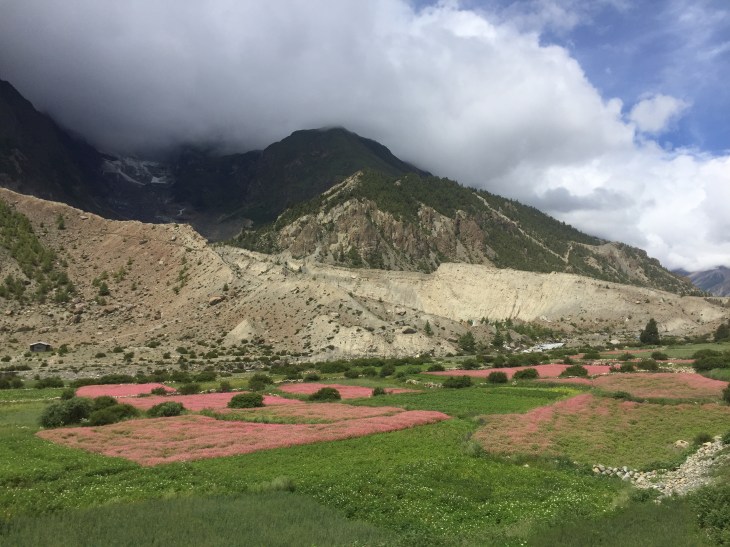 BCF1BC82-9006-44E8-B47D-9571029A27D7