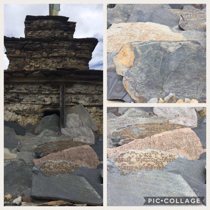 D8D12999-68A7-4042-B23F-BAD8AB82A0D4